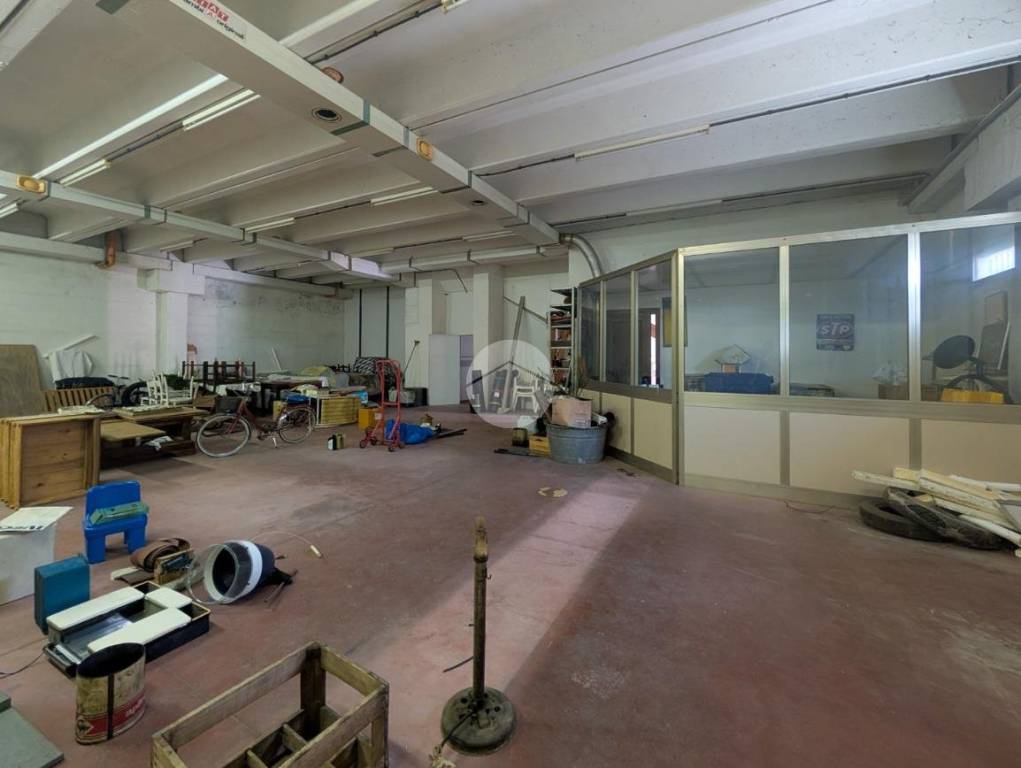 immagine annuncio 11 di 15