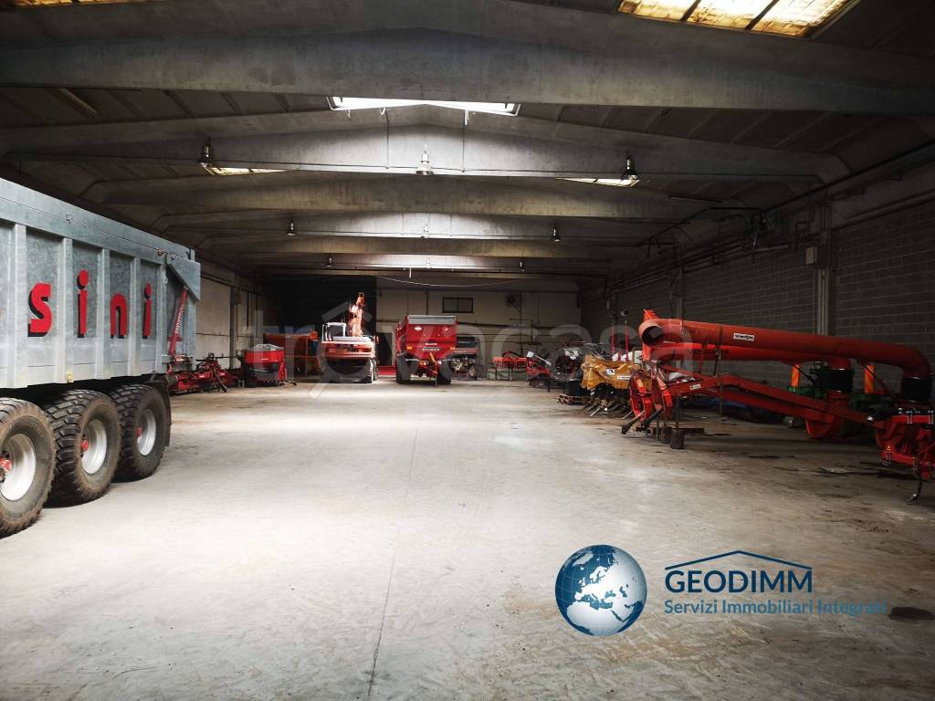 immagine annuncio 10 di 15