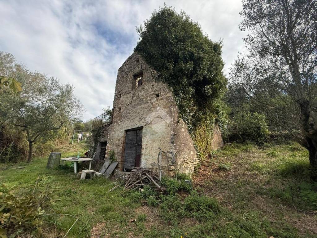 immagine annuncio 7 di 8