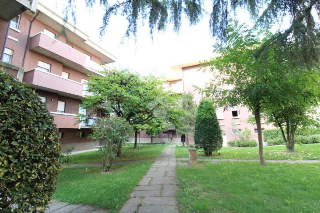 immagine annuncio 11 di 14
