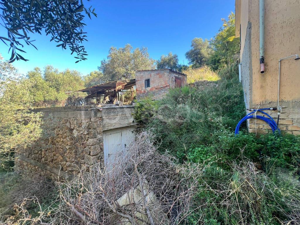 immagine annuncio 9 di 13
