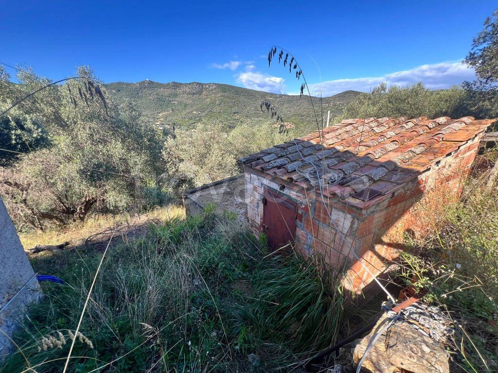 immagine annuncio 12 di 13