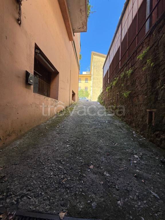 immagine annuncio 1 di 7