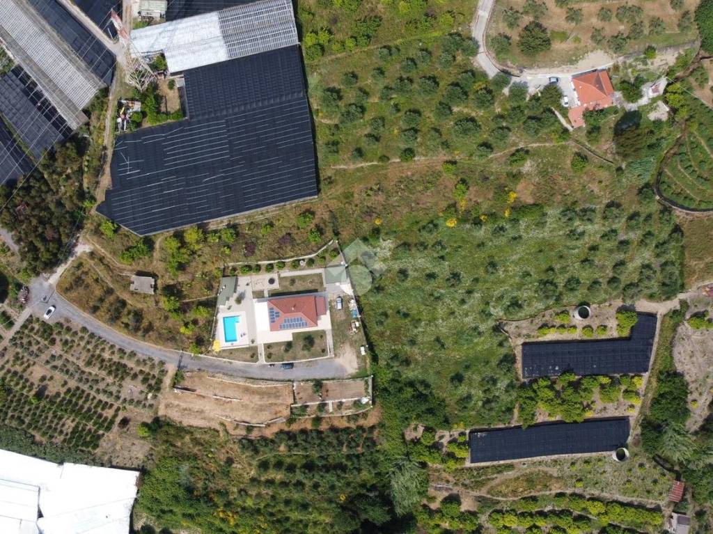 immagine annuncio 5 di 14