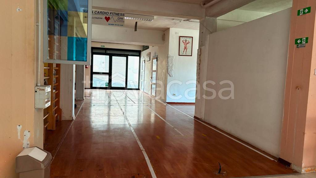 immagine annuncio 6 di 14