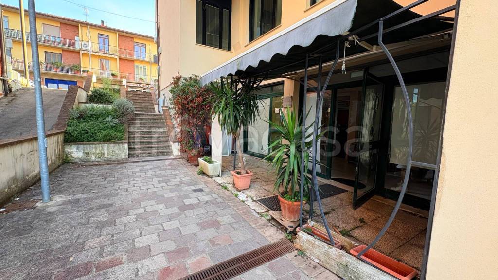 immagine annuncio 4 di 14