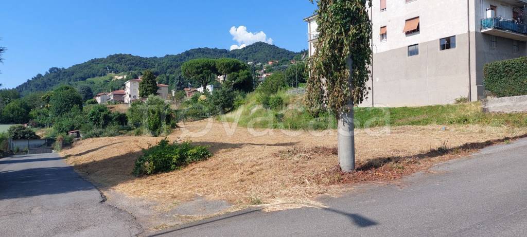 immagine annuncio 3 di 7