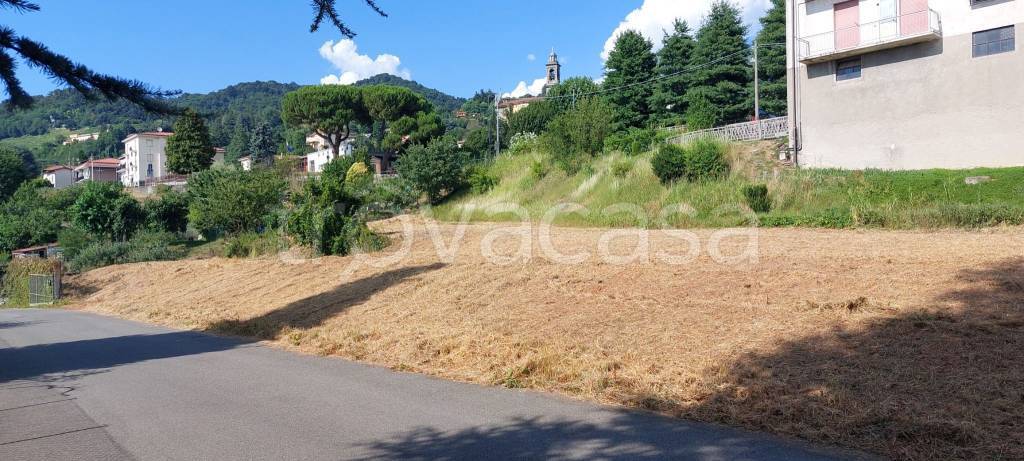 immagine annuncio 5 di 7