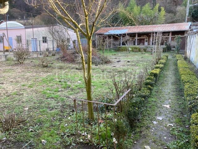 immagine annuncio 5 di 13