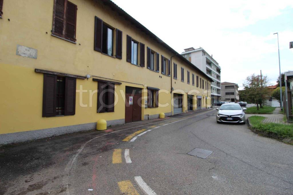 immagine annuncio 6 di 15