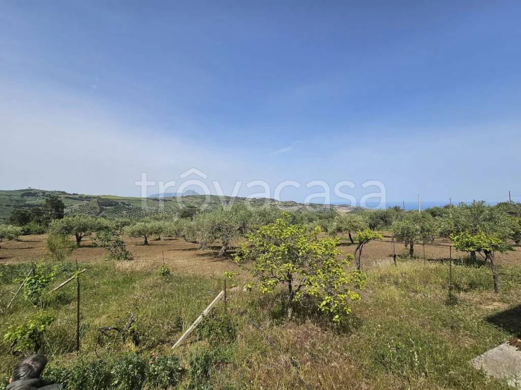 immagine annuncio 9 di 12