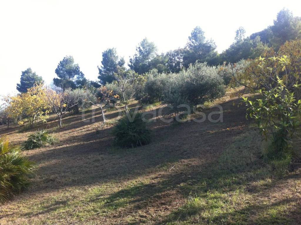 immagine annuncio 2 di 9