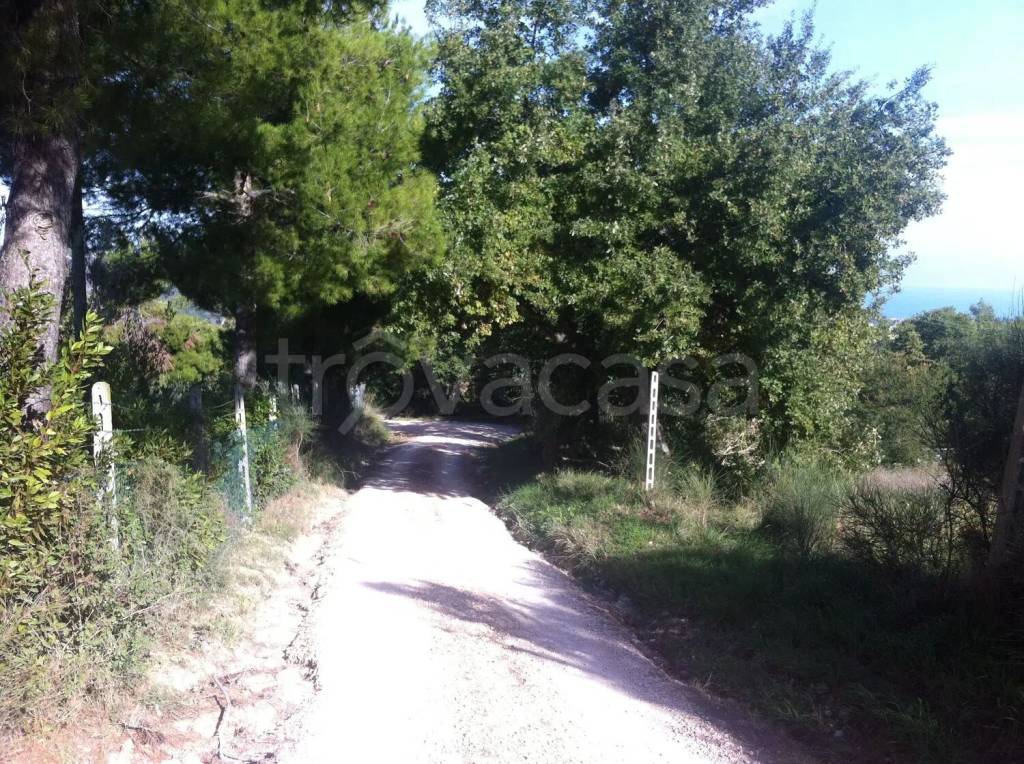 immagine annuncio 4 di 9