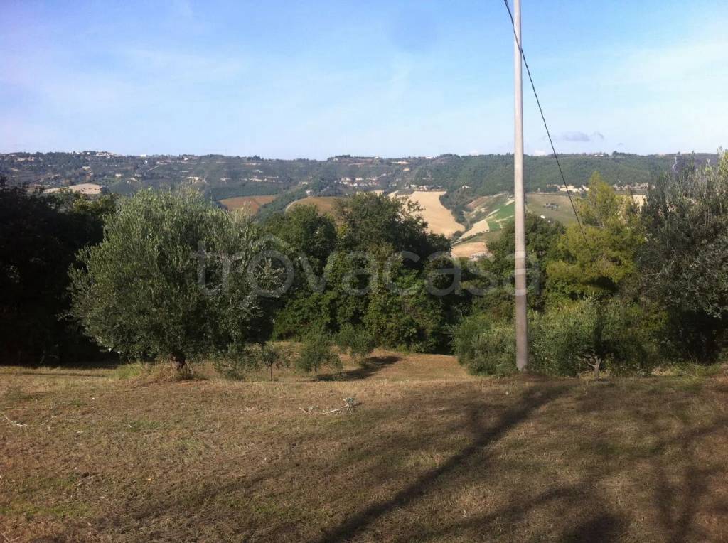 immagine annuncio 8 di 9