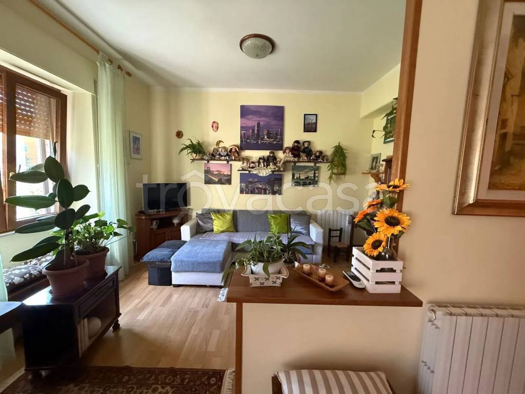 immagine annuncio 6 di 14