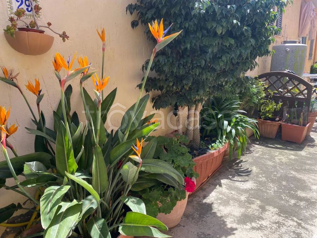 immagine annuncio 2 di 7