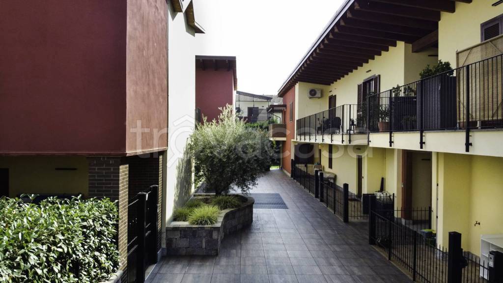 immagine annuncio 9 di 15