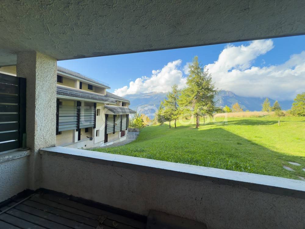 immagine annuncio 4 di 13