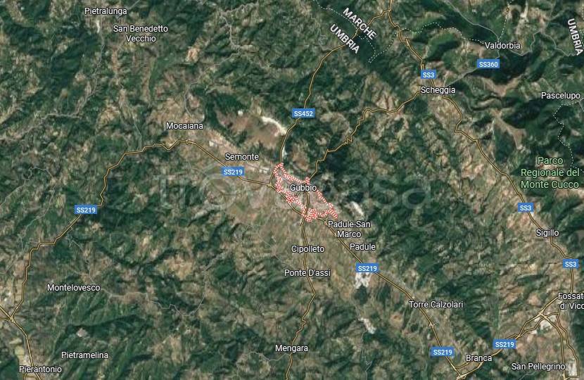 immagine annuncio 10 di 15