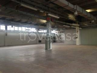 immagine annuncio 5 di 9