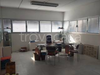 immagine annuncio 6 di 9