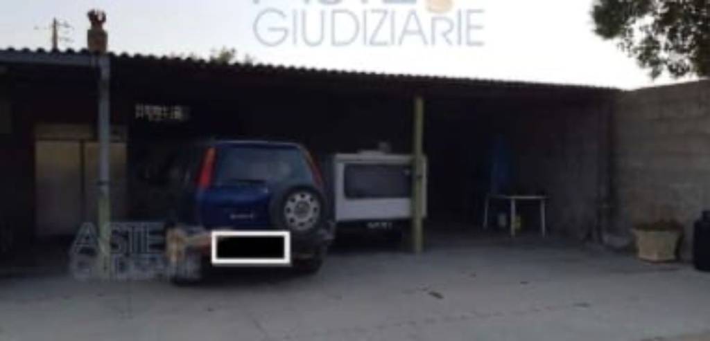 immagine annuncio 9 di 14