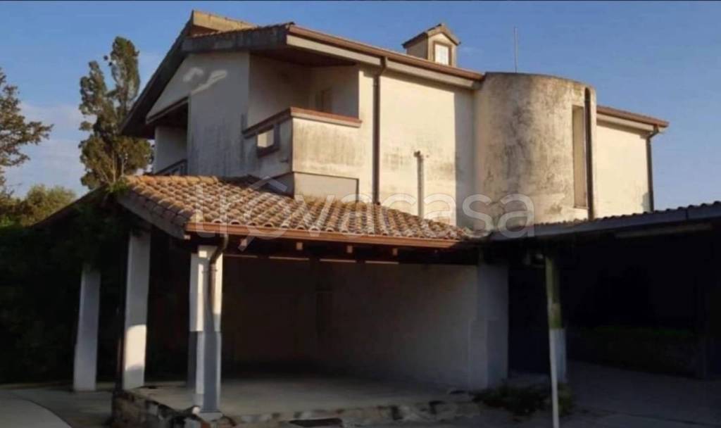 immagine annuncio 12 di 14