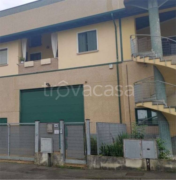 immagine annuncio 1 di 15