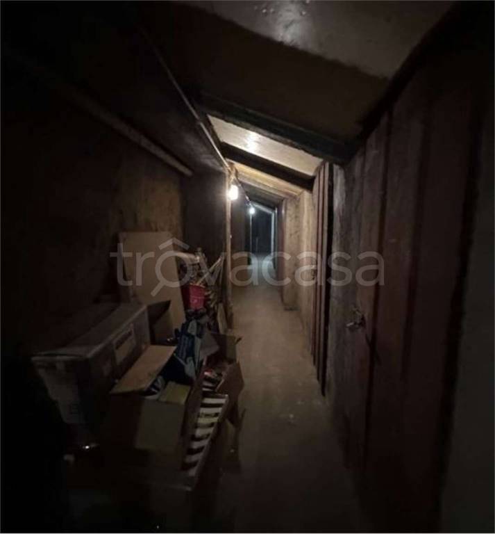 immagine annuncio 9 di 14