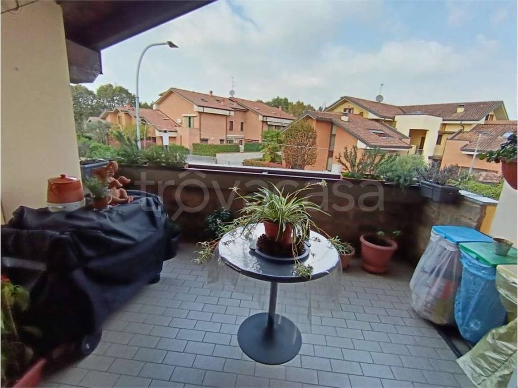 immagine annuncio 9 di 15