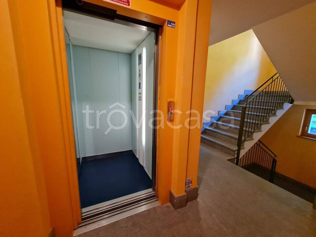 immagine annuncio 10 di 12