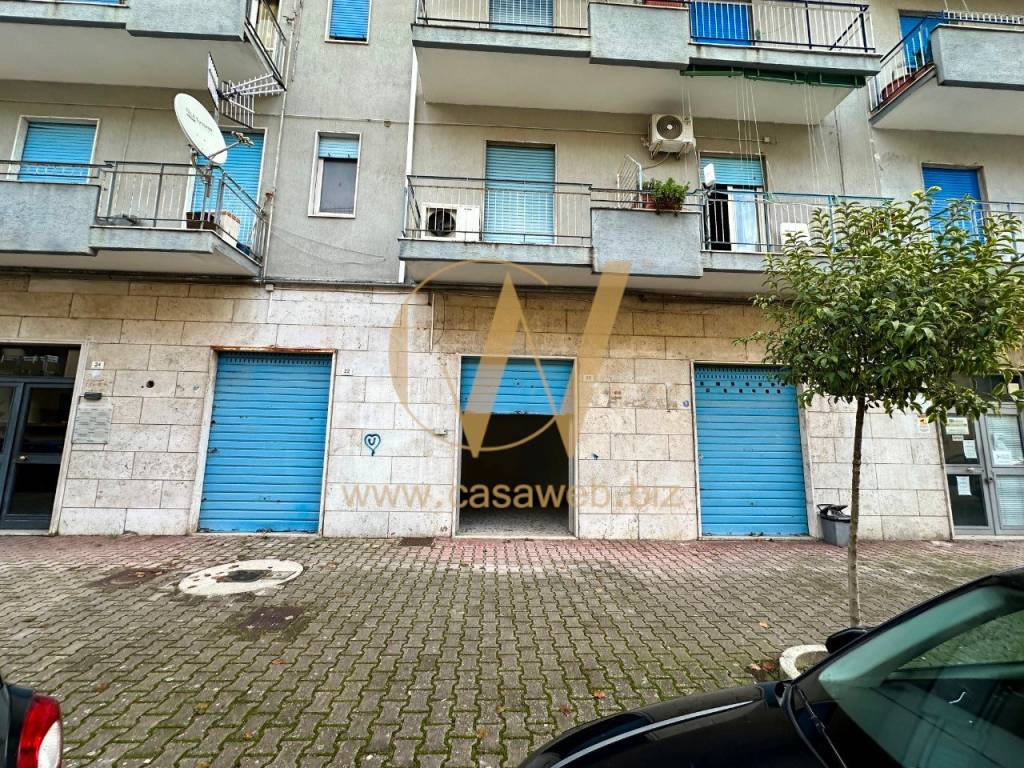 immagine annuncio 11 di 14