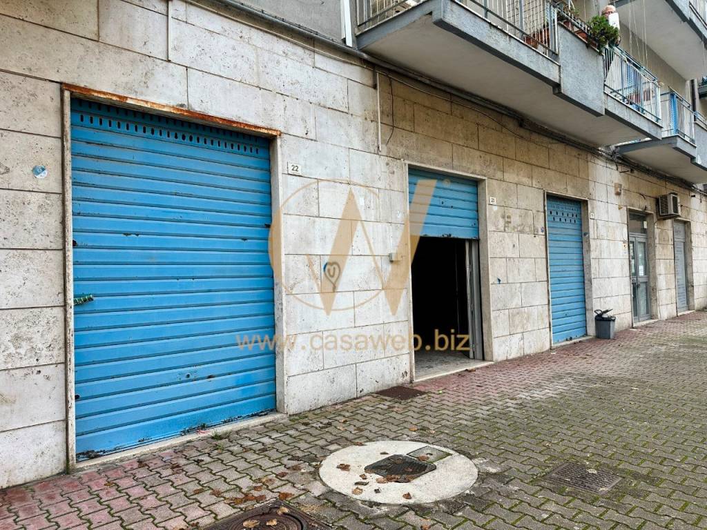 immagine annuncio 12 di 14