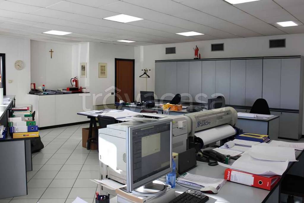 immagine annuncio 2 di 6