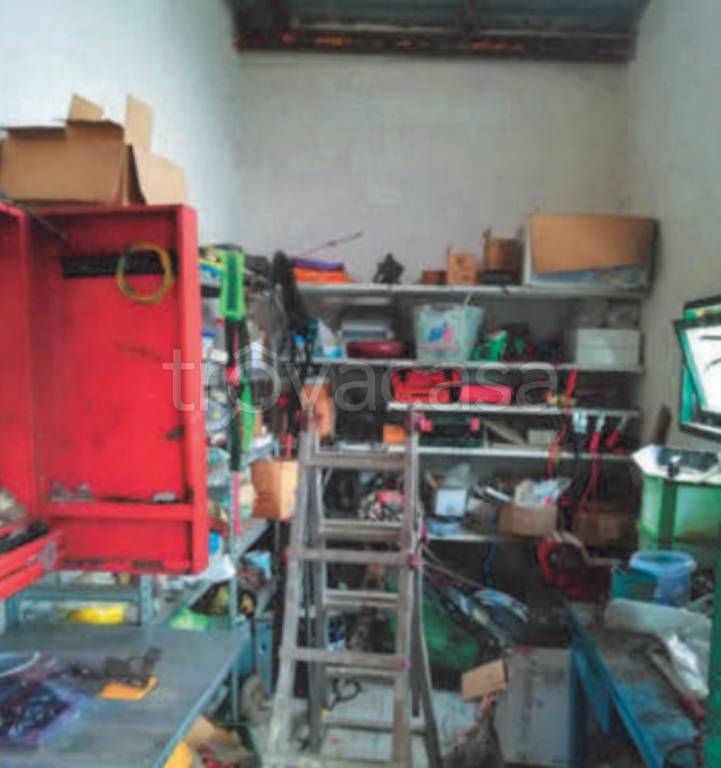 immagine annuncio 12 di 15