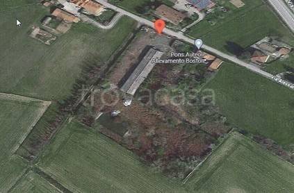 immagine annuncio 10 di 11