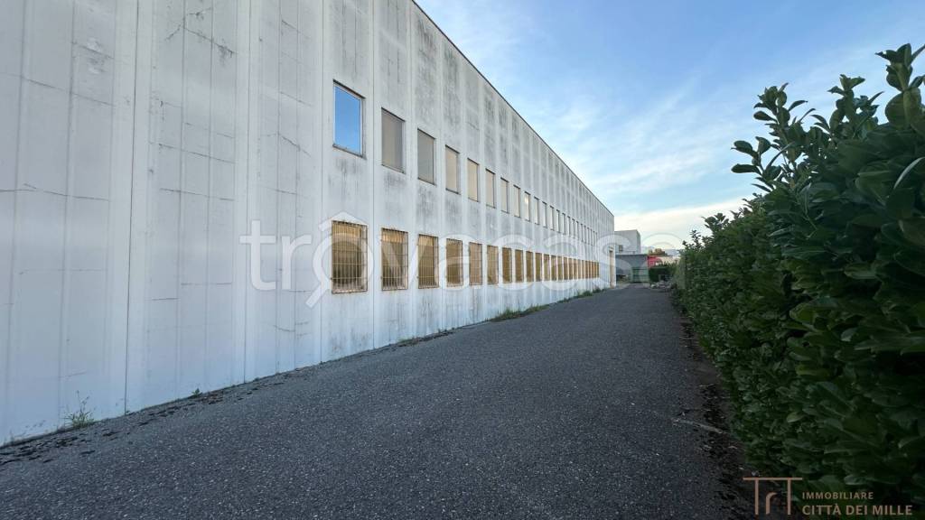 immagine annuncio 3 di 6