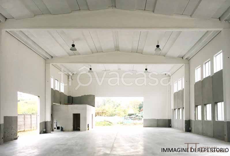 immagine annuncio 5 di 6