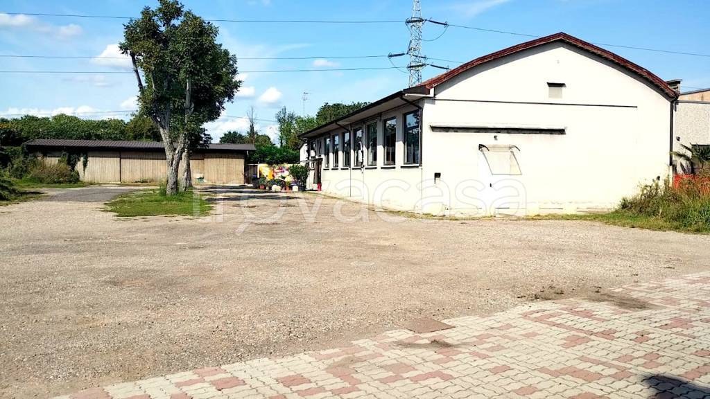 immagine annuncio 10 di 12