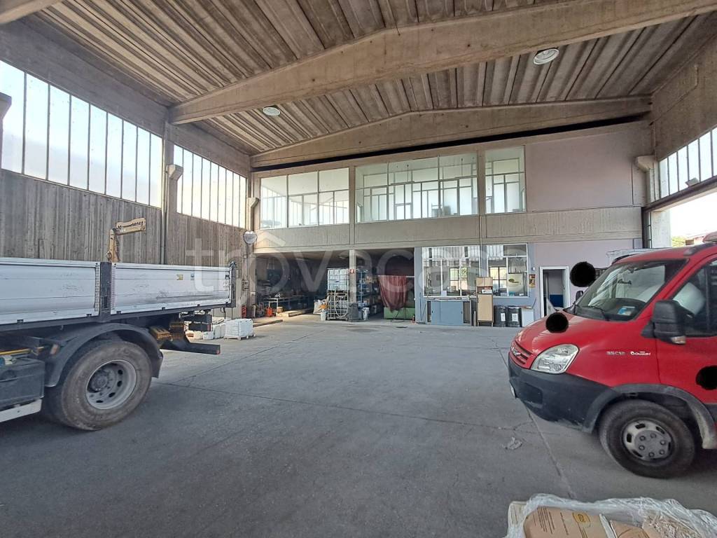 immagine annuncio 9 di 15