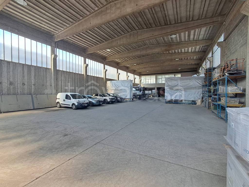 immagine annuncio 11 di 15