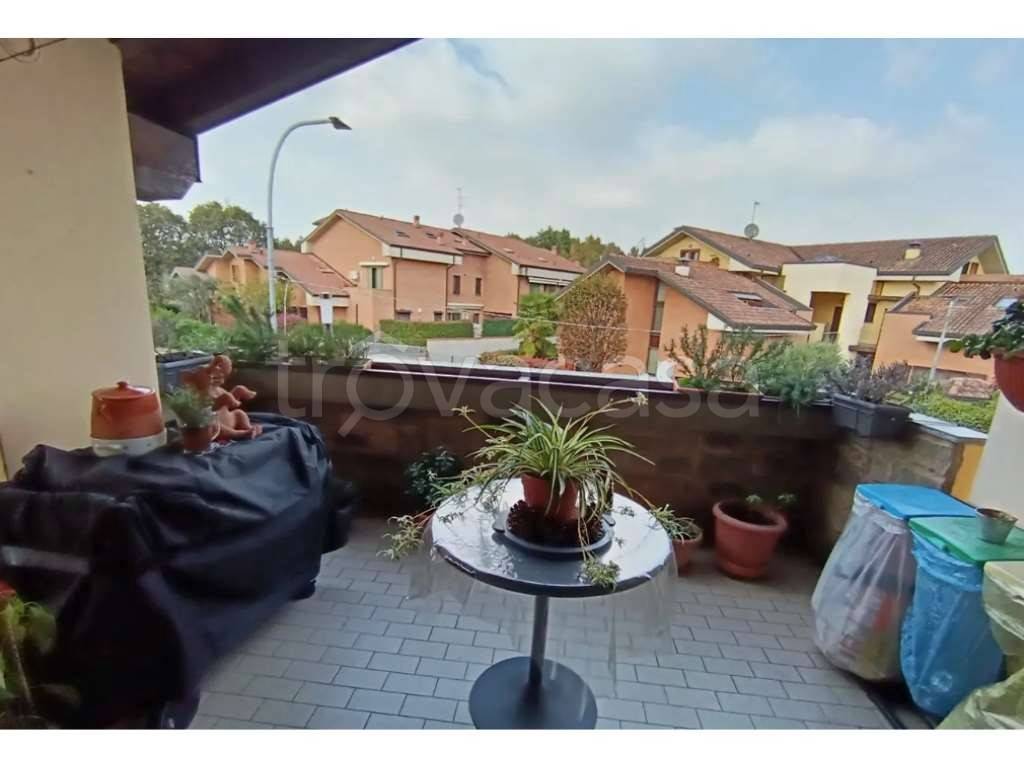 immagine annuncio 8 di 15