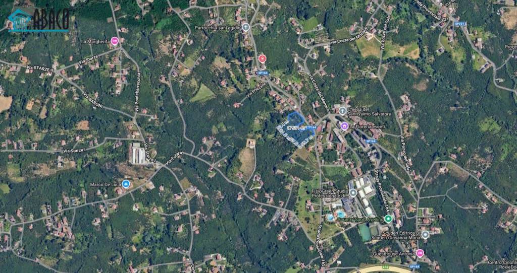 immagine annuncio 10 di 11