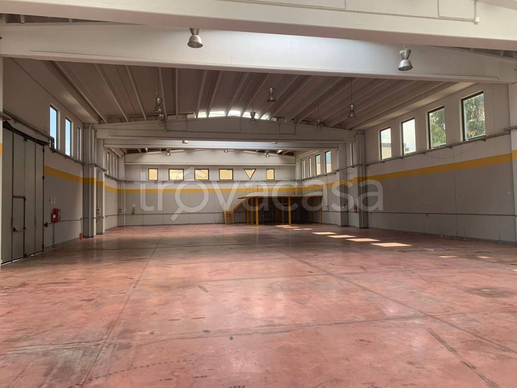 immagine annuncio 2 di 10