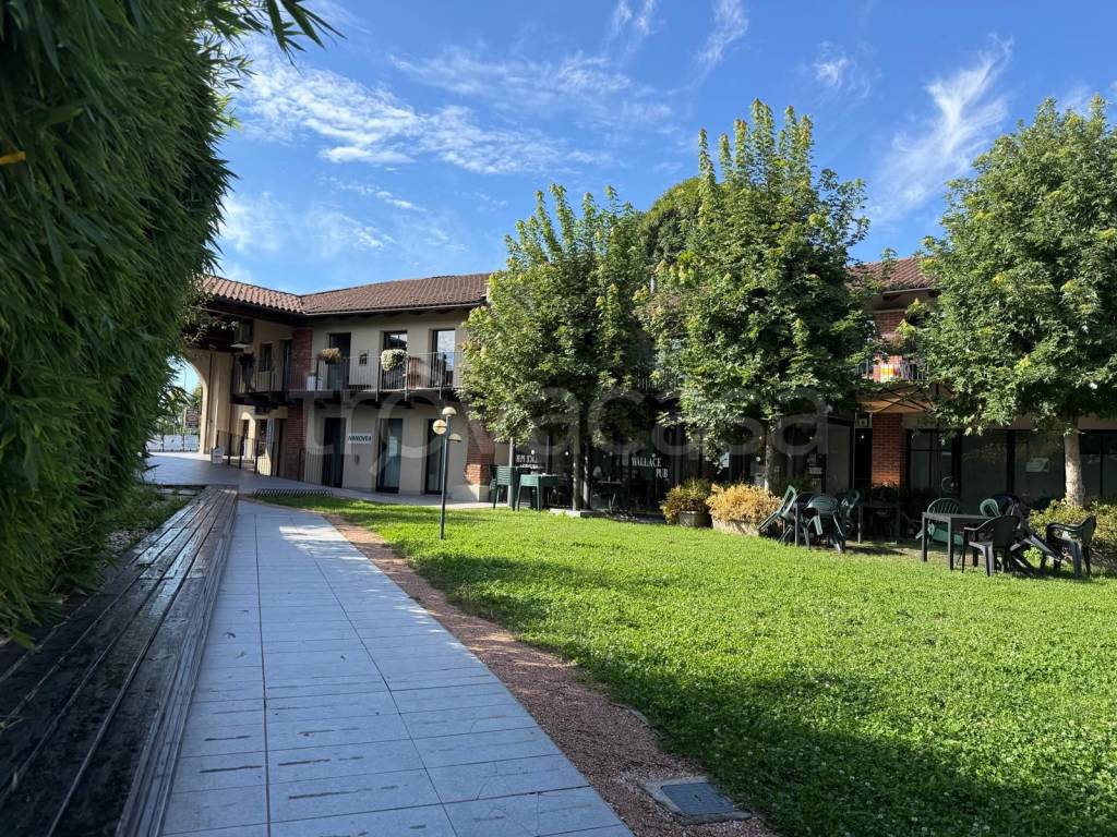 immagine annuncio 7 di 13