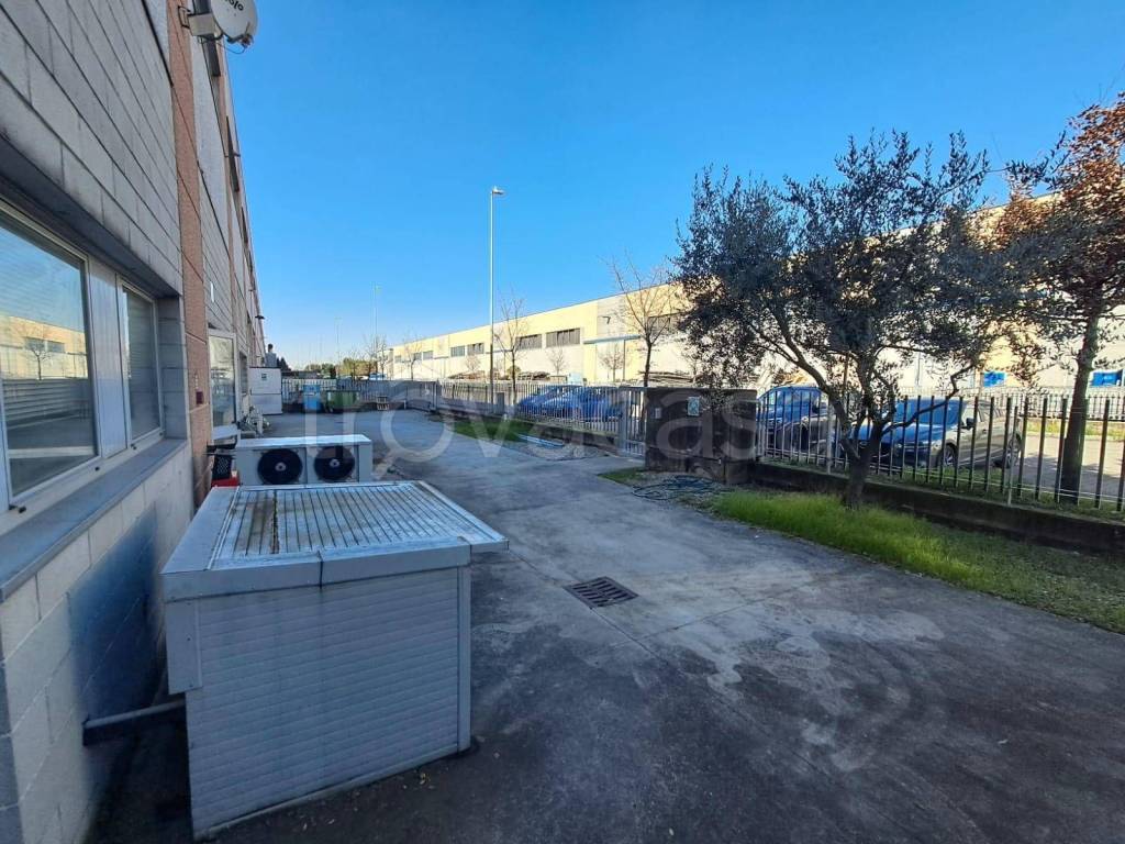 immagine annuncio 2 di 15