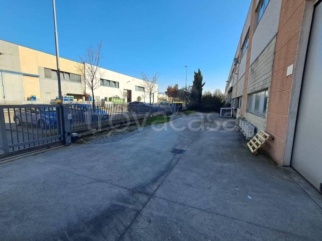 immagine annuncio 4 di 15