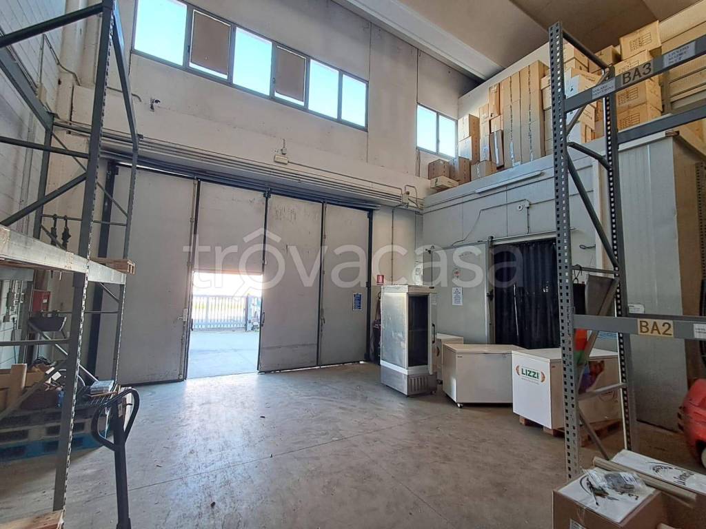 immagine annuncio 7 di 15