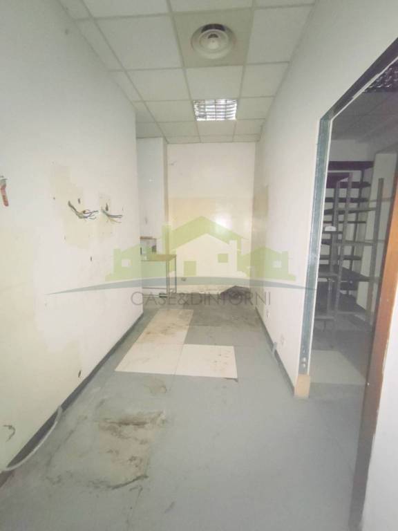 immagine annuncio 12 di 13