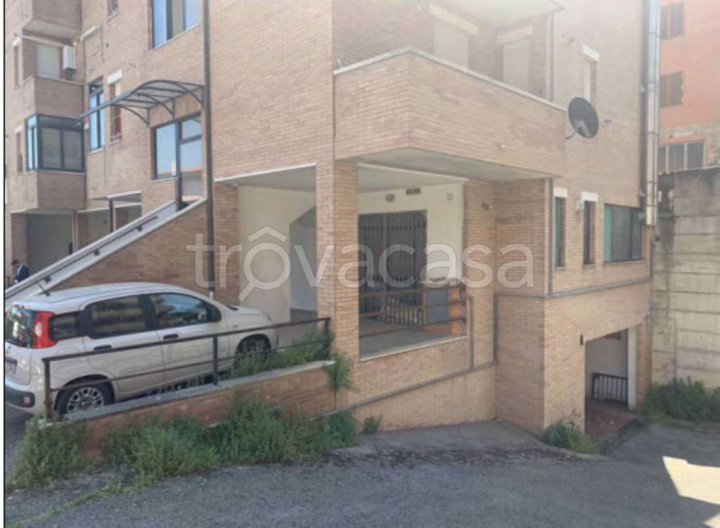 immagine annuncio 2 di 12